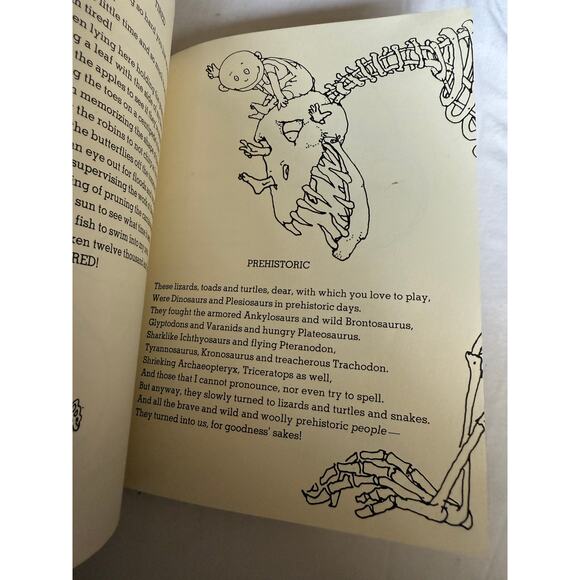 A Light In The Attic - Shel Silverstein - Snake Eye Music 1974 Edition Hardcover - Picture 16 of 16